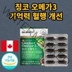 캐나다 수입 건강기능식품 징코 오메가3 은행잎 추출물 플라보놀배당체 혈행 기억력 개선 정제어유 부모님 청소년 중학생 고등학생 직장인 성인 어른 노인 중년 고함량 가성비 추천 선물, 1개 2개월분