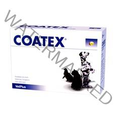포베츠 코텍스 블리스터(COATEX) 60캡슐