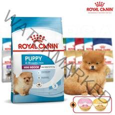 로얄캐닌 미니인도어퍼피 1.5kg(생후3개월~10개월까지/10kg미만소형견용) + 데일리캔1P 강아지사료, 데일리 미니캔 1개 증정, 24.04