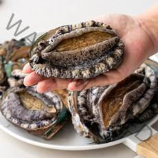 [산지직송] 전남 완도 전복 활전복 1kg 7미-60미 국내양식, 소 31-40미 1kg