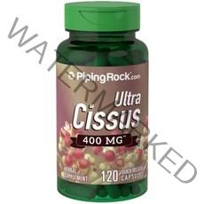 Piping Rock Cissus 시서스 추출물 가루분말 캡슐 400mg 120캡슐, 1개