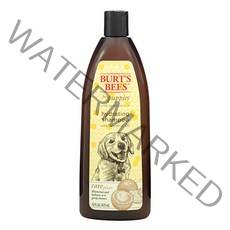 버츠비 케어플러스 하이드레이팅 강아지 퍼피 샴푸 코코넛오일, 473ml, 1개
