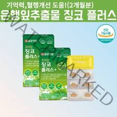 은행잎추출물 플라보놀배당체 징코정 뇌에 좋은 도움 영양제 혈액순환영양제 혈행개선제 혈액순환개선제 절대아님 혈액순환제 기억력개선제 절대아님 플라보놀배당체 플라보놀 약 2개월, 2, 30정, 60정