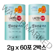 종근당건강 락토핏 생유산균 키즈 2g 60포 x 2통