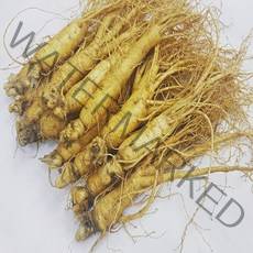 대한인삼사 풍기인삼 5년근6년근 750g 원수삼 특상품, 1개, 원수삼 750g 11~15뿌리 종이포장