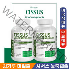 Bronson Cissus Quadrangularis 1000mg 브론슨 시서스 추출분말캡슐 120정 2병