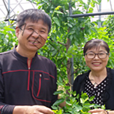 보은NO.1김수향의 달달이건대추 28mm미만 1kg, 1박스