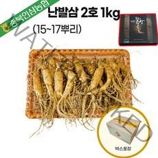 인삼농협 6년근 햇 인삼 수삼 선물세트 2호(중15-17뿌리)1kg 난발삼 설 명절 부모님 건강 효도 선물, 중(15~17뿌리), 1kg