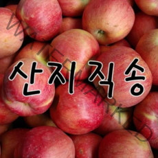 [2022년햇사과]] 청송사과 실속 쥬스용 10kg, 1박스, 01.갈아먹는 흠집사과 10kg 쥬스용-소과