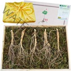 천봉산삼 6 8 10년근 산삼 장뇌삼 산양삼 산양산삼 자연산 주 새싹 장뇌 설 추석 선물세트, 1개, 5-6년근 5뿌리