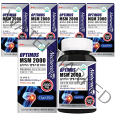 캐나다 옵티MSM 2000 OptiMSM 연골 무릎 관절 영양제 MSM 엠에스엠, 60정, 5박스