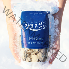 정오 12시까지 주문시 토요일 도착! 장보고닷컴 통영 산지직송 최상급 굴 생굴 깐굴 / 싱싱 지퍼백 포장, 통영생굴 1kg