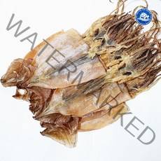 장수왕 삼삼한 마른 오징어 5마리 건오징어, 삼삼한 마른오징어 5마리 240g내외