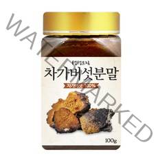 생생드림 차가버섯 분말, 100g, 1개