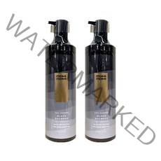 모다모다 프로체인지 블랙샴푸 300g, 2개