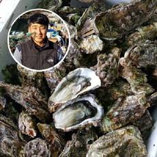 하고잽이수산 브러시세척 깔끔한 통영 석화 굴 (조개칼+회초장증정), 5kg