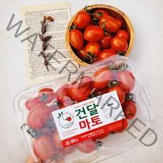 고당도 스테비아 대추 방울토마토, 500g+500g (총 1kg)