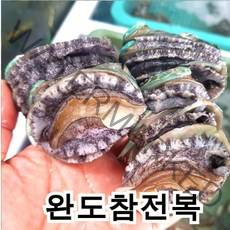 남도전복 전복, D 1kg(총30~40마리), 1box