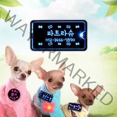 조아애드 LED강아지 이름표 사각숏, 핑크, 애완209
