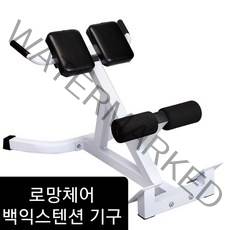 국내 로망체어 로만체어 백익스텐션 허리운동 암컬 프리쳐컬