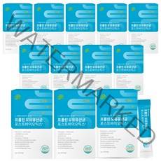 4세대 모유 유래 유산균 / BNR17 비엔알17 다이어트 LGG 엘지지 락토바실러스가세리 포스트바이오틱스 분말 가루 프롤린 식약처 인정 HACCP, 모유 유산균 360포 (12개월) + 사은품 12포