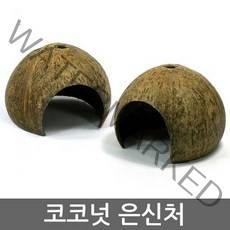 뉴런 코코넛은신처 (매우졸귀)