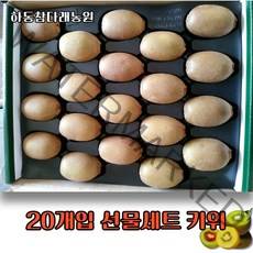 하동참다래농원 레드키위 *골드키위 선물세트 20개입(대~왕점보), 골드/중 (개당 100g) 2kg