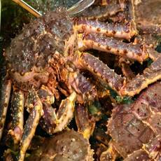 [푸디앤] 살아있는 킹크랩 1.8kg ~4.0kg, 활 킹크랩 2.6~2.8 kg