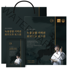김오곤원장 녹용 침향 기력진 + 쇼핑백 세트, 30포, 1개