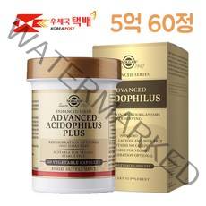 [우체국배송] 솔가 유산균 5억 60정 1개