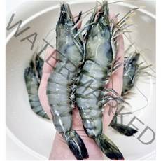 블랙 타이거 새우 킹 타이거 새우 캠핑 새우 왕새우 1kg(16마리), 블랙타이거 새우 대 1kg(16마리)