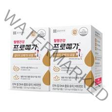 종근당건강 프로메가 알티지 오메가3 듀얼 (고순도 오메가3), 2박스