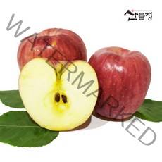경북사과 햇 꿀 홍로 빨간사과10kg 5kg 3kg [산지직송] 산들정, 1box, 04. 사과 10kg (53~60과 내외) 가정용 흠과