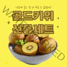 애나팩토리 [ 추석선물 ] 키위선물세트 골드키위 키위 제스프리 당도보장, 골드키위 선물세트 9과