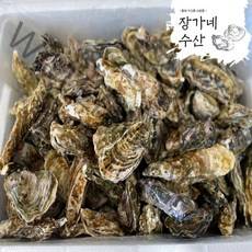 장가네수산 산지직송 통영 생굴 석화 각굴 / 평일오후2시이전까지 당일출발(주말제외), 1box, 석화 10kg