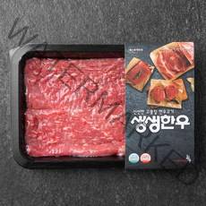 생생한우 1등급 산적용 (냉장), 300g, 1개