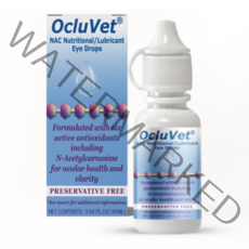 OcluVet 오클루벳 강아지 백내장 아세틸카르노신 포함 16ml