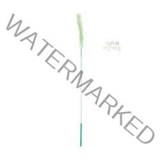 대_캐티맨_강아지풀 06FA, 상세페이지 참조