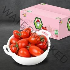 산지직송 부여 굿뜨래 대추방울토마토2kg(4번과) GAP / mini tomato, 1개, 2kg(4번과)