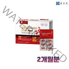 종근당 철분 엽산 비타민D 플러스 500mg x 60캡슐 2개월