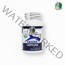 캐나다 상어연골 칼슘 어골칼슘 분말 가루 상어연골추출물 골밀도 무릎 관절 연골 뼈 여성 칼슘제 효능 추천, 1병, 60캡슐
