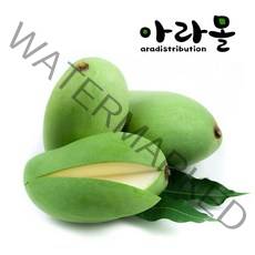 아라몰 태국 그린망고 (Thailand Green Mango), 3-4개, 1kg (250g 내외)