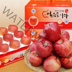 대흥농원 밀양얼음골사과 GAP인증 산지직송, 1박스, 5kg 20과