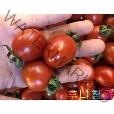 후니청과 신선한[특품] GAP 인증 대추방울 토마토1kg 2kg [국내산], 1box, 1kg(4등)