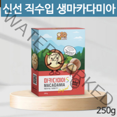 이시영 통 생 마카다미아 s 마카디아 넛트패밀리 코스트코 완태 햇 무염 집에서 간단한 술안주 운동후 간식 다이어트 사돈 어르신 추석선물 250g
