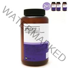 내몸생각 빌베리 대용량 300g 가루 분말 파우더 BILBERRY 2통 구매시1통 추가증정, 300g 1통, 1개