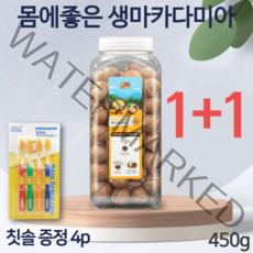 까먹는 마카디아 세다람쥐 코스트코 이시영 마카다미아s 넛트패밀리 생 통마카다미아 코스트코 다이어트 간식 사돈 어르신 할머니 유치원 인쉘 추석 선물 세트 s 450g 1+1 2개