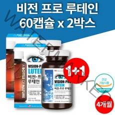 코스트코 홈쇼핑 루테인 청소년 중학생 고등학생 고3 대학생 직장인 어른 노인 눈 영양제 뉴테인 60캡슐 2박스 대용량