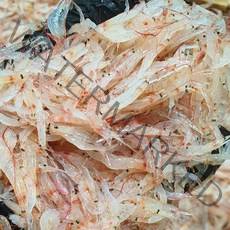 인천 김장용 생새우 동백하 11월 매일조업 급속동결 1kg / 2kg / 3kg, 인천 김장 생새우 1kg (1팩)