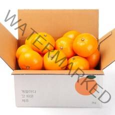 깨비농원 제주 천혜향, 1box, 천혜향 2.5kg 소과(16-20과)